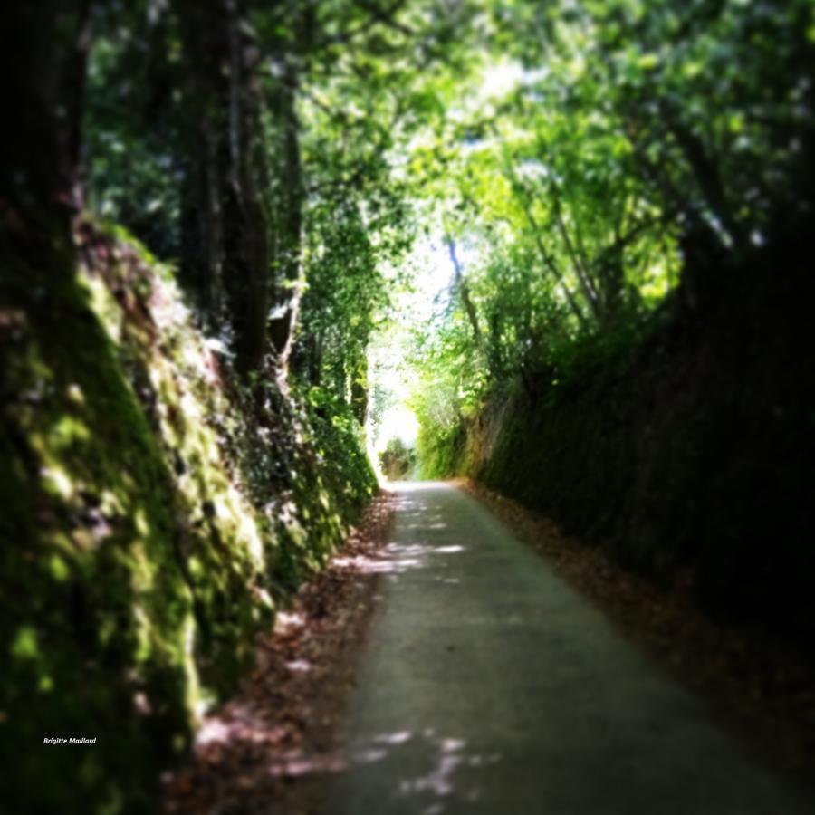 Rencontres en poésie avec Brigitte Maillard Médiathèque de Quimper