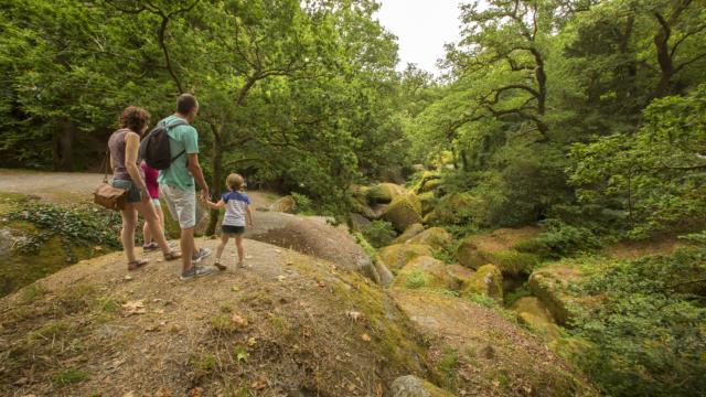 reier koad an Uhelgoad