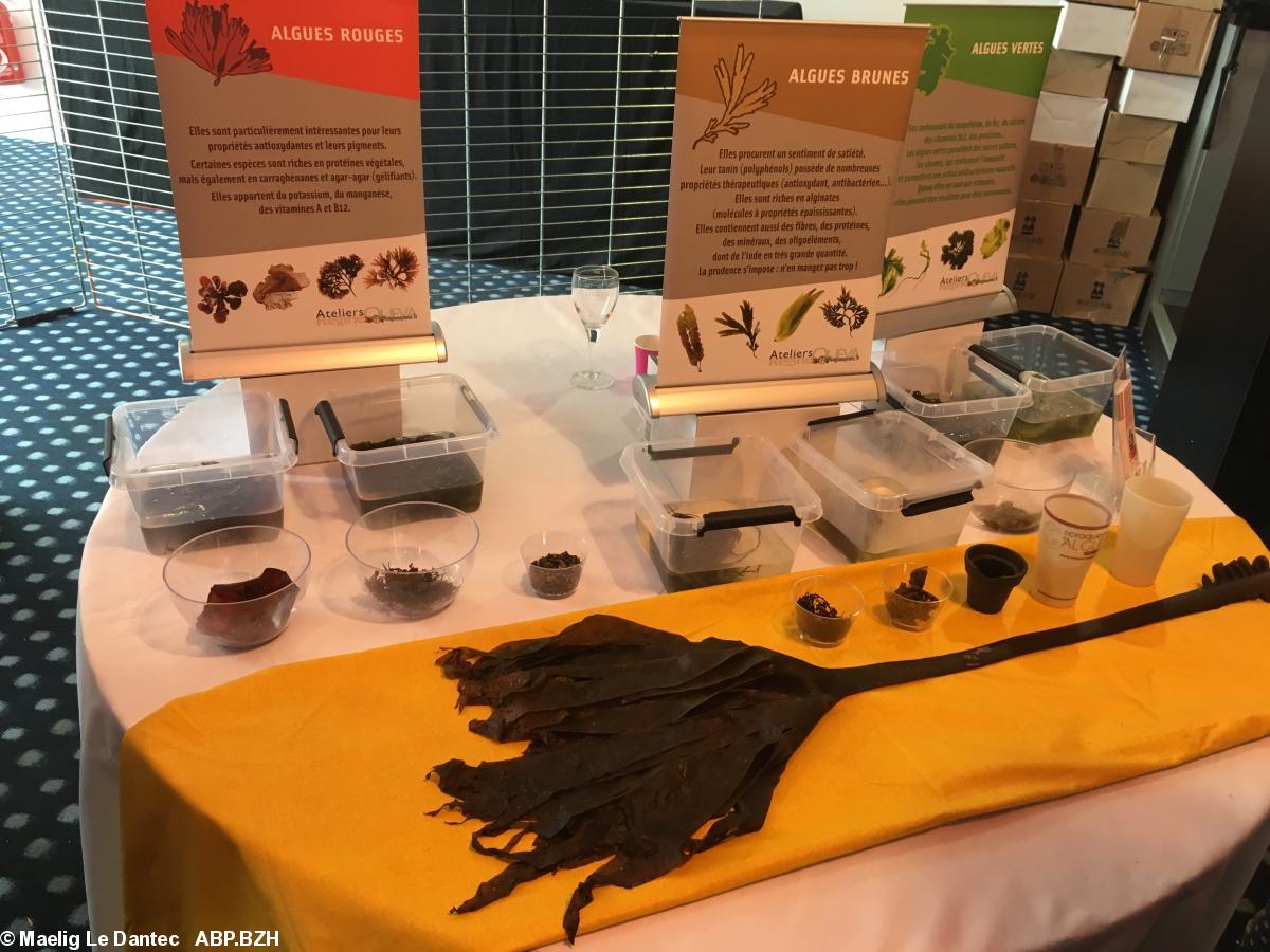 Le stand algues de Régines Quéva
