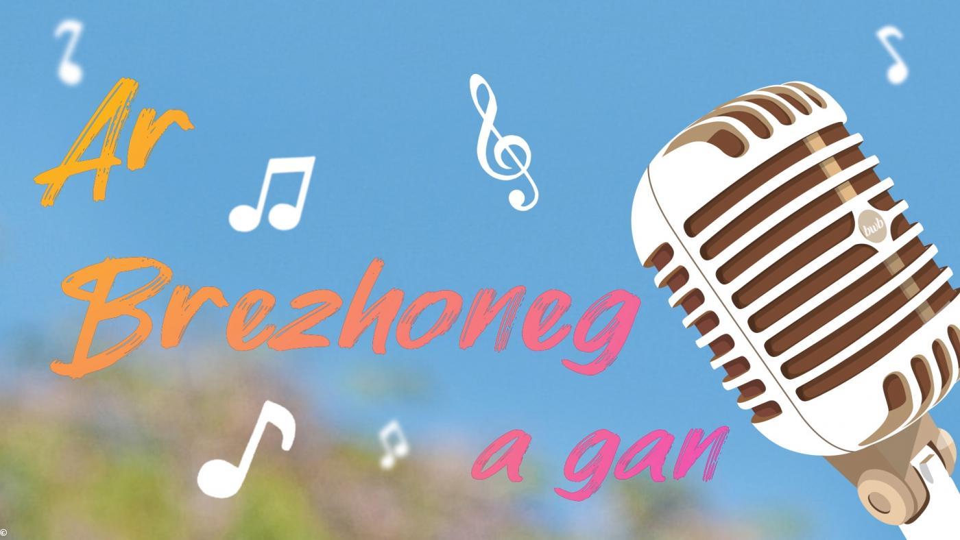 Ar brezhoneg a gan, Brezhoweb.