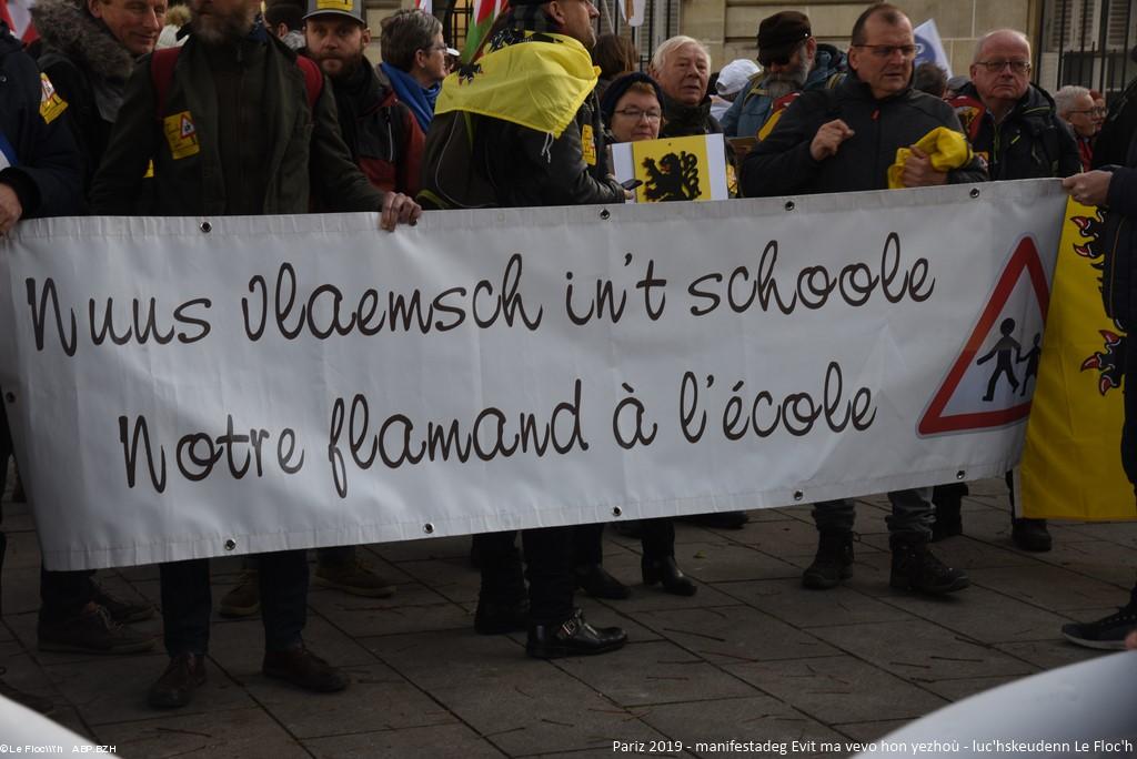 Pariz, yezhoù rannvroel, 2019 , manifestadeg, giton : notre flamand à l'école galleg/flandrezeg Pariz, yezhoù rannvroel, 2019 , manifestadeg, giton : notre flamand à l'école galleg/flandrezeg