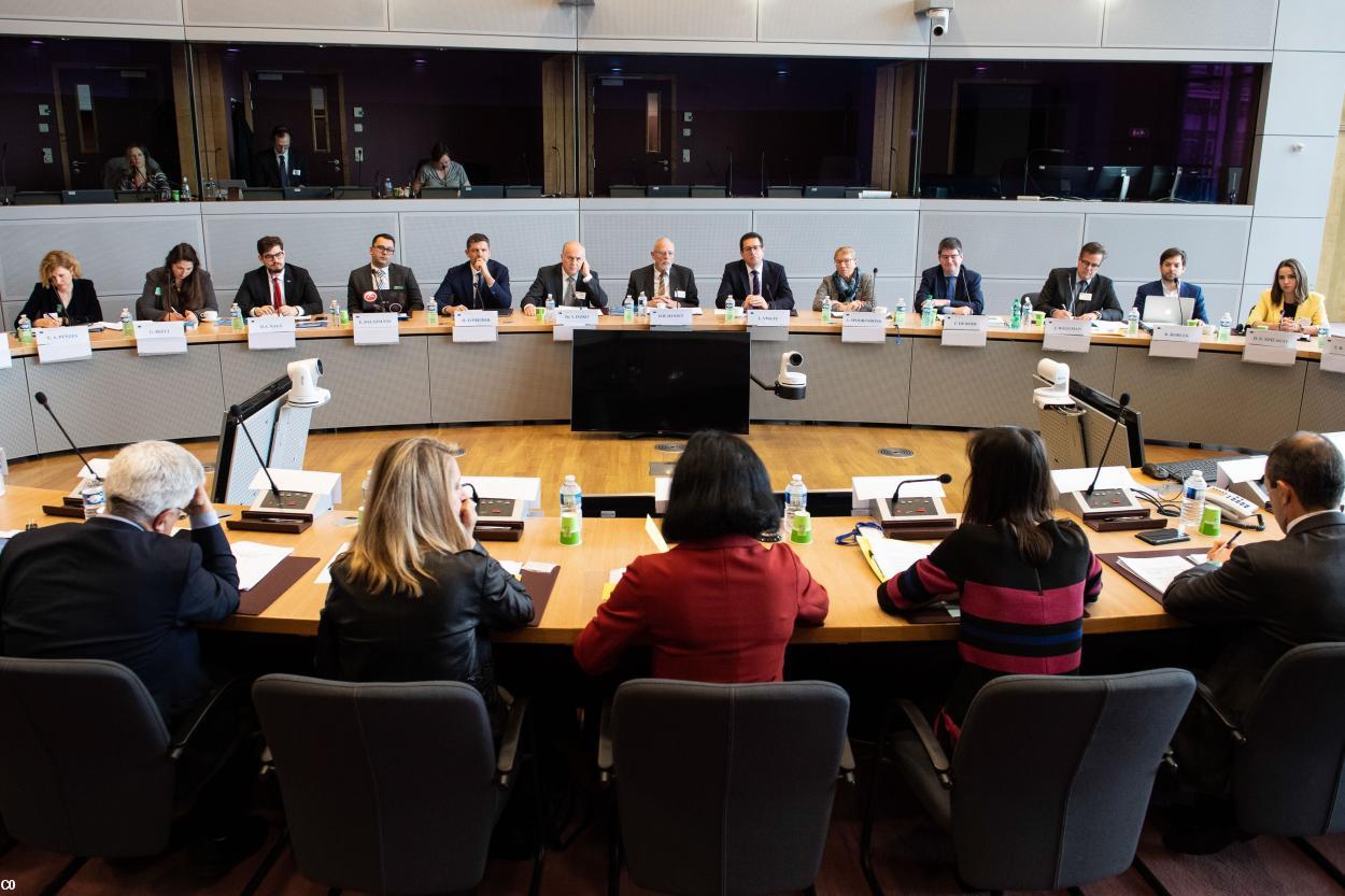 La FUEN devant la Commission Européenne. (photo FUEN)