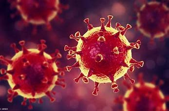 coronavirus