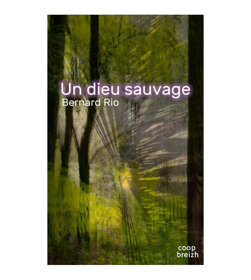 Un dieu sauvage, Bernard Rio