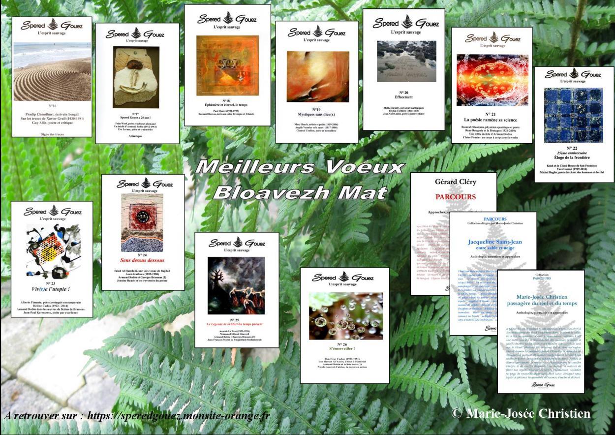 Carte voeux 2021 des éditions Spered Gouez