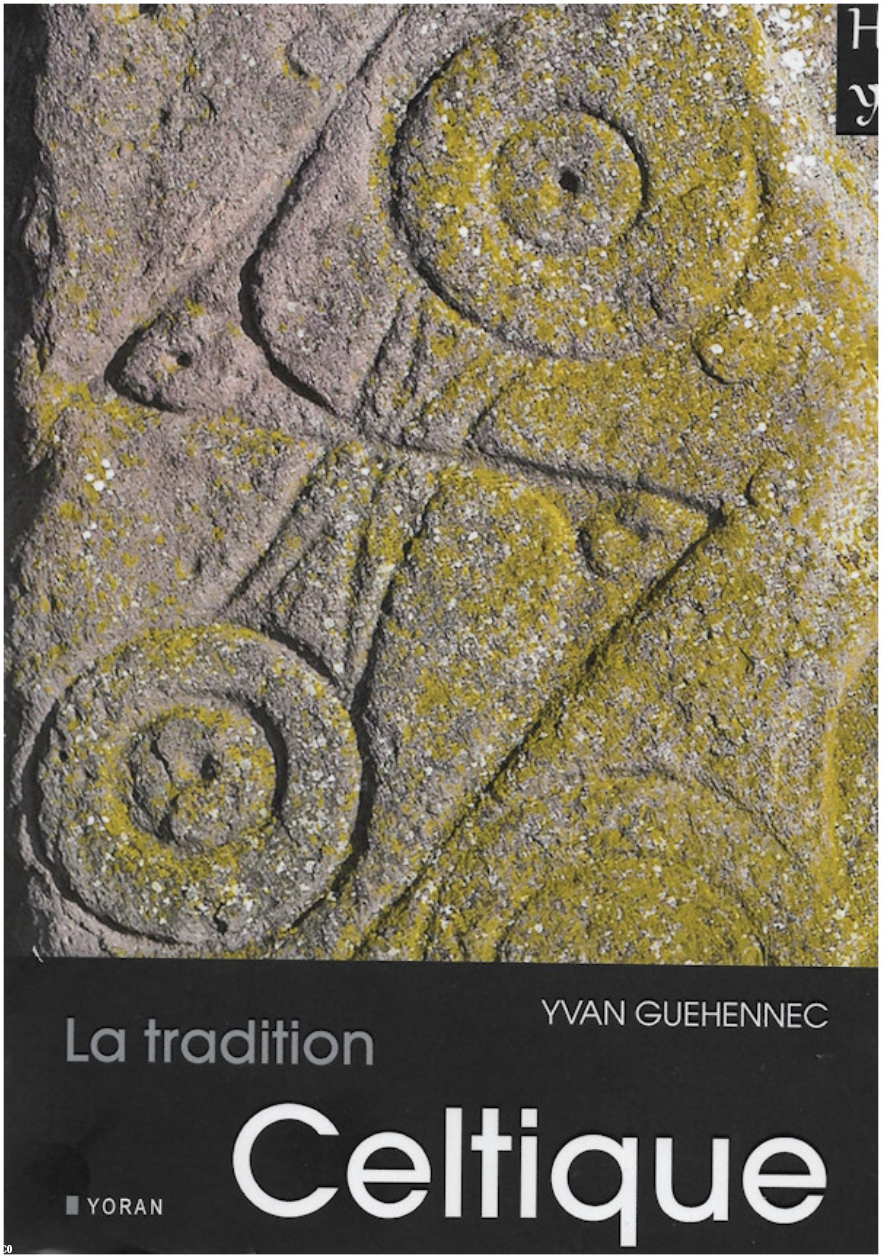 Chez Yoran Embanner : 400 pages. Aussi chez Coop Breizh