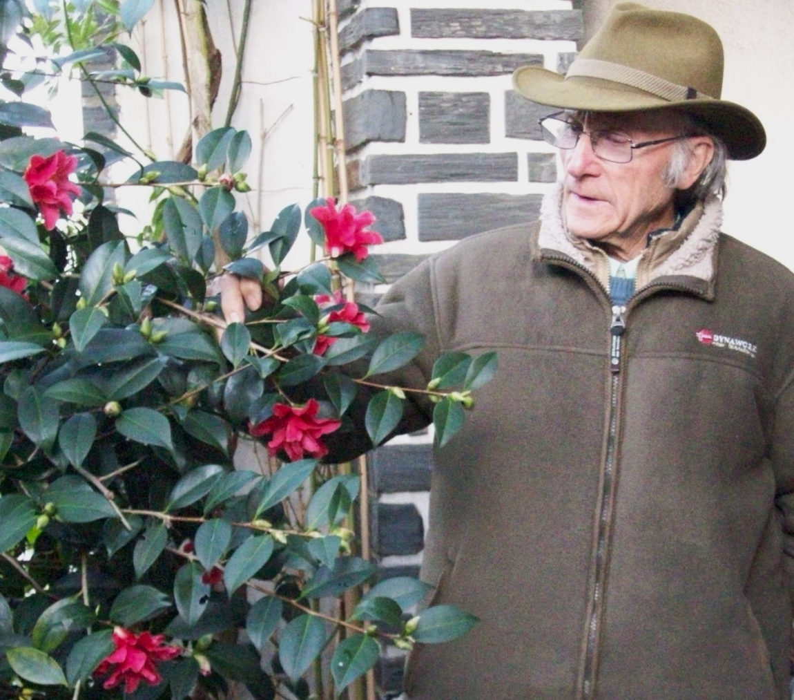 Photo archives familiales