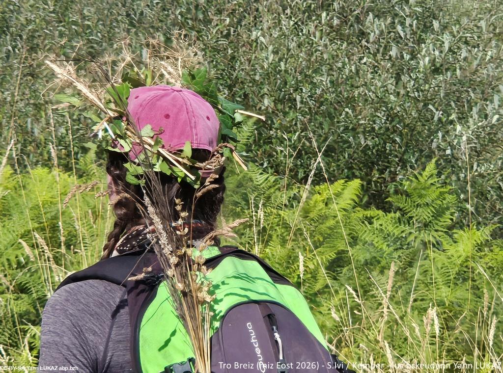 Une tradition établie au Tro-Breiz: la couronne végétale confectionnée en chemin, et que l'on portera spécialement à l'arrivée. Une tradition établie au Tro-Breiz: la couronne végétale confectionnée en chemin, et que l'on portera spécialement à l'arrivée.