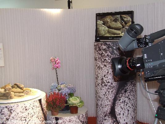 . Télévision haute définition. . Télévision haute définition.