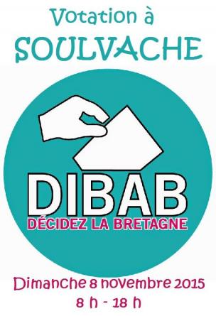 Affiche votation Dibab à Soulvache le 8 novembre 2015.