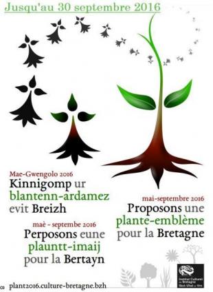 Affiche de Plant2016 : Quelle plante comme emblème de Bretagne ?
