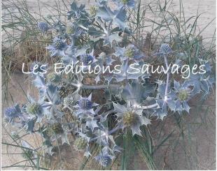 Photo-visuel Les Editions Sauvages