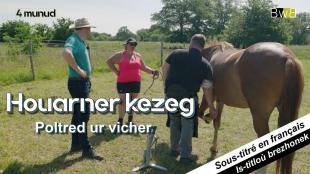 Poltred ur vicher : houarner kezeg