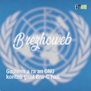 Goulenn a ra an ONU kontoù gant Bro-C'hall.