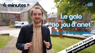 Vassili Moreau, Galoeb.