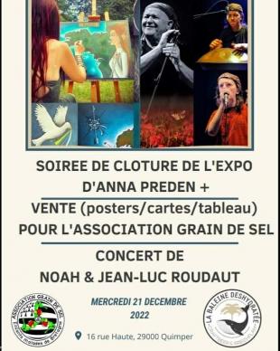 Soirée solidaire avec Grain de sel : clôture de l'exposition dAnna Preden, concert de Noah et Jean-Luc Roudaut