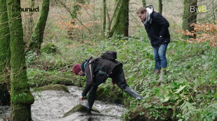 Stad ar stêrioù a lâr ur bochad traoù diwar-benn ar vuhez gouez !
