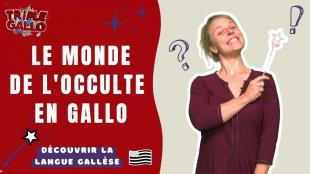 Le monde occulte et le merveilleux en gallo.