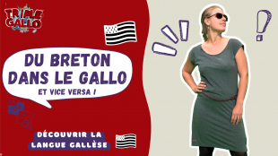 Du breton dans le gallo et vice-versa.