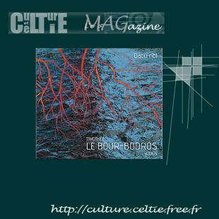 Jaquette du CD de Timothée LE BOUR et Youen BODROS "Daou ribl"